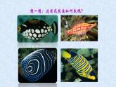 人美版小學(xué)美術(shù) 四年級(jí)下冊(cè)第9課《用彩墨畫(huà)魚(yú)》課件