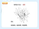 人美版小學美術(shù) 五年級下冊第9課《多彩的民族傳統(tǒng)紋樣》課件