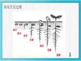 人美版小學(xué)美術(shù) 一年級(jí)下冊(cè)第2課《長(zhǎng)呀長(zhǎng)》教學(xué)課件