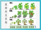 人美版小學(xué)美術(shù) 一年級(jí)下冊(cè)第2課《長(zhǎng)呀長(zhǎng)》教學(xué)課件