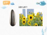 人美版小學(xué)美術(shù) 一年級(jí)下冊(cè)第2課《長(zhǎng)呀長(zhǎng)》課件