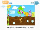 人美版小學(xué)美術(shù) 一年級(jí)下冊(cè)第2課《長(zhǎng)呀長(zhǎng)》課件