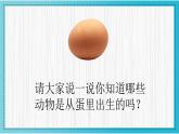 人美版小學(xué)美術(shù) 一年級(jí)下冊(cè)第3課《出殼了》教學(xué)課件