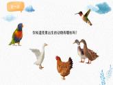 人美版小學(xué)美術(shù) 一年級(jí)下冊(cè)第3課《出殼了》課件