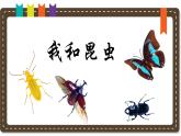 人美版小學美術 一年級下冊第10課《我和昆蟲》說課課件