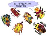 人美版小學(xué)美術(shù) 一年級(jí)下冊(cè)第11課《奇妙的爬行》課件