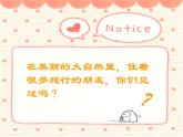 人美版小學(xué)美術(shù) 一年級(jí)下冊(cè)第11課《奇妙的爬行》課件