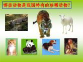 人美版小學美術 一年級下冊第11課《可愛的動物》課件