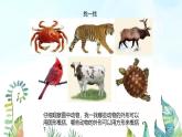 湘美版小學(xué)美術(shù) 三年級(jí)上冊第3課《方方圓圓》基于標(biāo)準(zhǔn)的教學(xué)課件