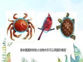 湘美版小學(xué)美術(shù) 三年級(jí)上冊第3課《方方圓圓》基于標(biāo)準(zhǔn)的教學(xué)課件