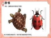 湘美版小學(xué)美術(shù) 三年級(jí)上冊第3課《方方圓圓》預(yù)畫案 課件
