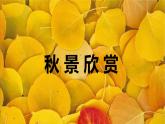 湘美版小學(xué)美術(shù) 三年級上冊第11課《留住秋天》基于標(biāo)準(zhǔn)的教學(xué)課件
