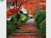 湘美版小學(xué)美術(shù) 三年級上冊第11課《留住秋天》課件