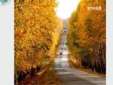 湘美版小學(xué)美術(shù) 三年級上冊第11課《留住秋天》課件