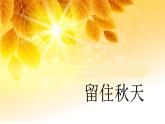湘美版小學(xué)美術(shù) 三年級上冊第11課《留住秋天》課件
