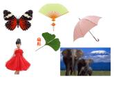 湘美版小學(xué)美術(shù) 三年級上冊第11課《留住秋天》課件