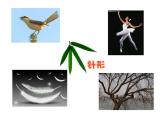 湘美版小學(xué)美術(shù) 三年級上冊第11課《留住秋天》課件