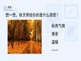 湘美版小學(xué)美術(shù) 三年級上冊第11課《留住秋天》課件
