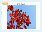 湘美版小學(xué)美術(shù) 三年級上冊第11課《留住秋天》課件