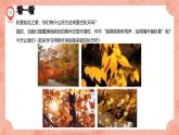 湘美版小學(xué)美術(shù) 三年級上冊第11課《留住秋天》預(yù)畫案  課件