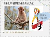 湘美版小學(xué)美術(shù) 三年級(jí)上冊(cè)第4課《趣味動(dòng)漫》課件