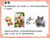 湘美版小學(xué)美術(shù) 三年級(jí)上冊(cè)第4課《趣味動(dòng)漫》預(yù)畫(huà)案  課件