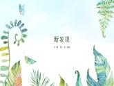 湘美版小学美术 三年级上册第6课《新发现》基于标准的教学课件