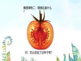 湘美版小学美术 三年级上册第6课《新发现》基于标准的教学课件