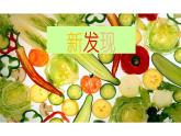 湘美版小学美术 三年级上册第6课《新发现》课件