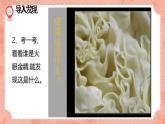 湘美版小學美術(shù) 三年級上冊第6課《新發(fā)現(xiàn)》預畫案 課件