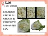 湘美版小學美術(shù) 三年級上冊第6課《新發(fā)現(xiàn)》預畫案 課件