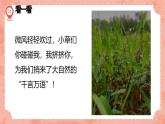 湘美版小學美術(shù) 四年級上冊 第5課《草叢中》預(yù)畫案  課件
