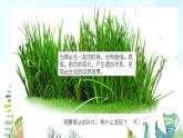 湘美版小學美術(shù) 四年級上冊 第5課《草叢中》基于標準的教學課件
