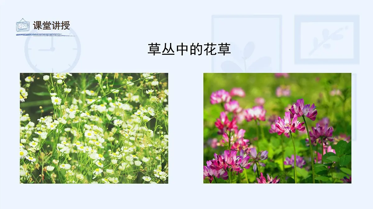 湘美版小学美术 四年级上册 第5课《草丛中》课件第7页