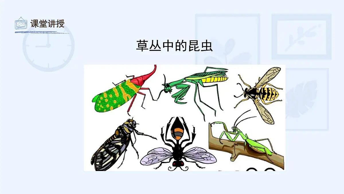 湘美版小学美术 四年级上册 第5课《草丛中》课件第8页
