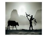 湘美版小學(xué)美術(shù) 四年級(jí)上冊(cè) 第11課《城市美容師》教學(xué)課件