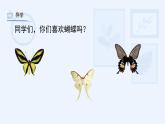 湘美版小學(xué)美術(shù) 四年級(jí)上冊(cè) 第14課《蝴蝶落我家》課件