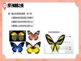 湘美版小學(xué)美術(shù) 四年級(jí)上冊(cè) 第14課《蝴蝶落我家》預(yù)畫案  課件