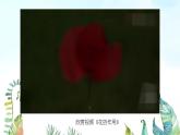 湘美版小學美術 四年級上冊 第6課《花兒朵朵》基于標準的教學課件
