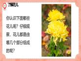 湘美版小學美術 四年級上冊 第6課《花兒朵朵》預畫案  課件