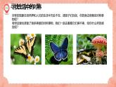 湘美版小學(xué)美術(shù) 四年級(jí)上冊 第8課《色彩對(duì)印》預(yù)畫案  課件
