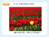 湘美版小學(xué)美術(shù) 四年級(jí)上冊(cè) 第12課《一模不一樣》課件