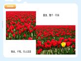 湘美版小學(xué)美術(shù) 四年級(jí)上冊(cè) 第12課《一模不一樣》課件