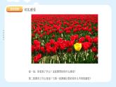 湘美版小學(xué)美術(shù) 四年級(jí)上冊(cè) 第12課《一模不一樣》課件
