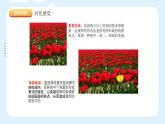 湘美版小學(xué)美術(shù) 四年級(jí)上冊(cè) 第12課《一模不一樣》課件
