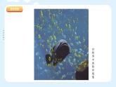 湘美版小學(xué)美術(shù) 四年級(jí)上冊(cè) 第12課《一模不一樣》課件