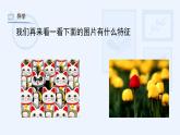 湘美版小學(xué)美術(shù) 四年級(jí)上冊(cè) 第12課《一模不一樣》課件