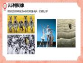 湘美版小學(xué)美術(shù) 四年級(jí)上冊(cè) 第12課《一模不一樣》預(yù)畫(huà)案  課件