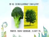 湘美版小學(xué)美術(shù) 四年級(jí)上冊(cè) 第15課《這個(gè)地方有點(diǎn)怪》基于標(biāo)準(zhǔn)的教學(xué)課件