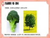 湘美版小學(xué)美術(shù) 四年級(jí)上冊(cè) 第15課《這個(gè)地方有點(diǎn)怪》預(yù)畫案  課件